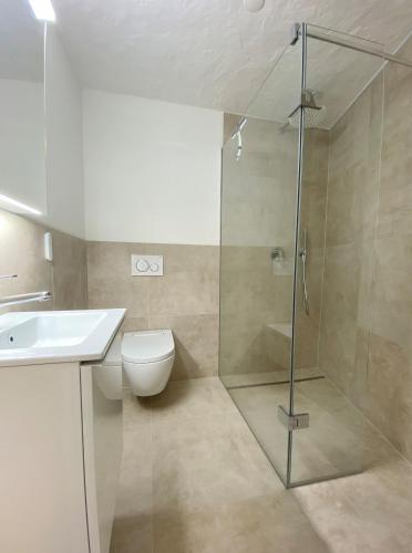 a bathroom with a shower and a toilet and a sink at Rustico Luna by HolAp SA in Brione sopra Minusio