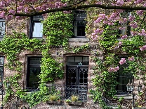 an ivy covered building with windows and doors at Burg Wegberg Hotel & Eventlocation in Wegberg