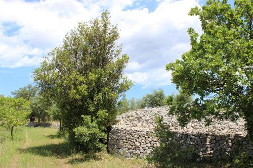 a stone wall and two trees in a field at Trulli Gemma in Antonelli