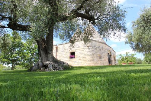 an old barn with a tree in a field at Trulli Gemma in Antonelli