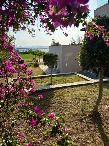 Κήπος έξω από το Seaside Villa with Private Football Pitch