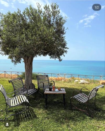 un gruppo di sedie e un tavolo sotto un albero di Bellavista a Realmonte