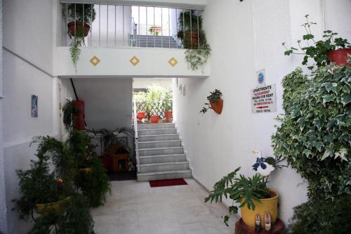 Fotografie z fotogalerie ubytování Apartments Alexandra v destinaci Pefkochori