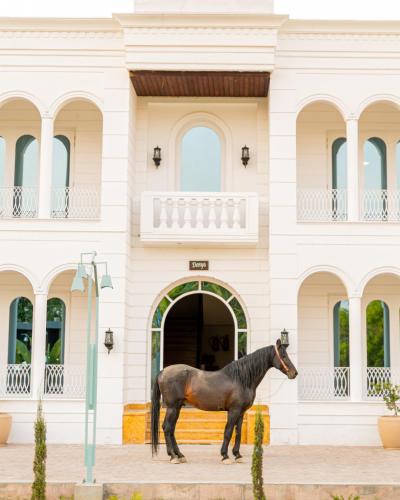a horse statue in front of a building at Ametsa in Amritsar