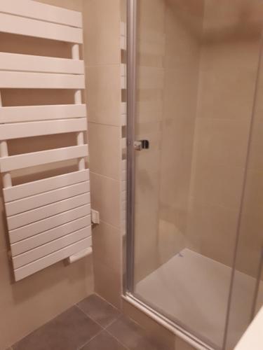 une douche avec une porte vitrée dans une salle de bain dans l'établissement chamonix centre le clos du savoy, à La Celle-sous-Gouzon