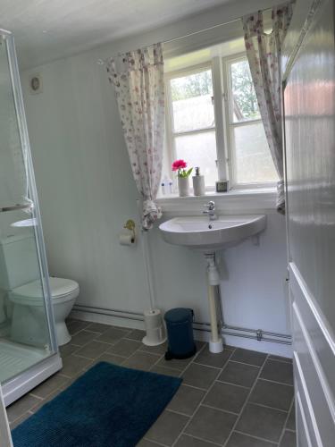 a bathroom with a sink and a window and a toilet at Trevligt eget hus med kakelugn i lantlig miljö in Vikingstad