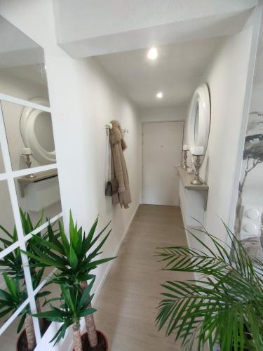 un couloir avec des murs blancs et deux plantes dans l'établissement Le doux viking appartement cosy balcon parking Caen Beaulieu, à Caen