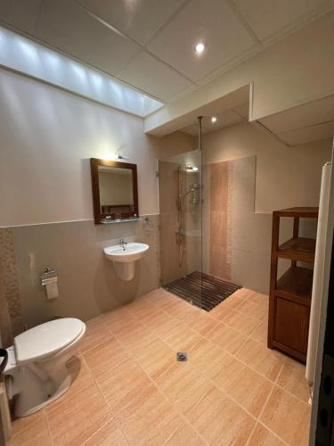 GeshaにあるGeshaHillPark villas 53のトイレ、洗面台、シャワー付きのバスルーム