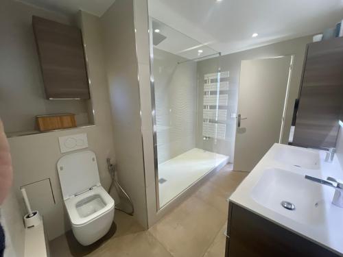 une salle de bain avec toilettes, douche et lavabo dans l'établissement Chambre dans coloc filles dans maison avec jardin proche gare RER, Évry-Courcouronnes