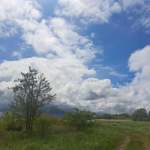 Φωτογραφία από το άλμπουμ του Domek Zapach Wyspy στο Γκντανσκ
