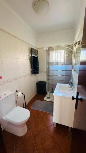 a bathroom with a toilet and a shower and a sink at Quinta dos Moledros in Figueira