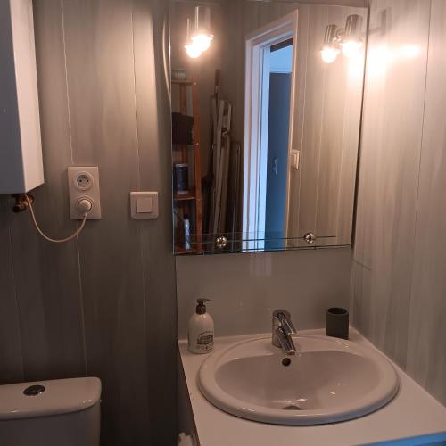 une salle de bain avec un lavabo et un miroir et des toilettes dans l'établissement Studio meublé de tourisme, à Bourbon-Lancy