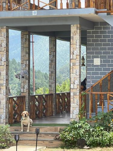 Balkón nebo terasa v ubytování Cortland Jungle Resort