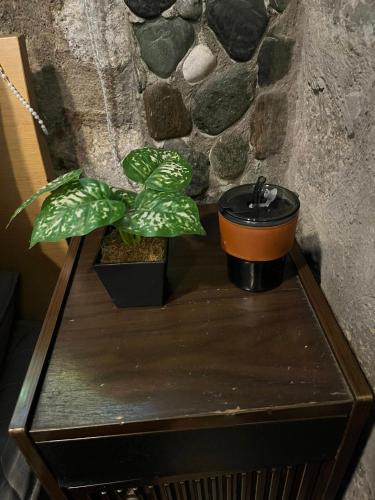 a table with two potted plants on top of it at CASA HERNANDO Private Resort in Apalit