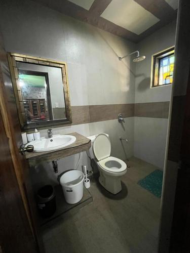 a bathroom with a sink and a toilet and a mirror at CASA HERNANDO Private Resort in Apalit
