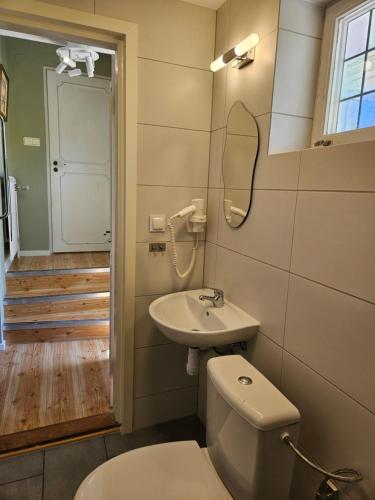 a bathroom with a toilet and a sink and a mirror at Strandvillan i Slite in Slite