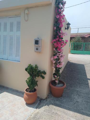 two potted plants sitting next to a wall with flowers at Philoxenia Holiday Home in Pappadhiánika