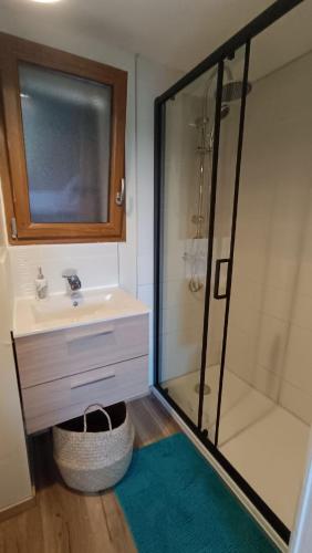 une salle de bain avec un lavabo et une douche dans l'établissement la maison de pejusclat, à Villesèque