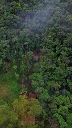 an overhead view of a forest of trees with a house at Recanto dos Sonhos Guest House in Lumiar