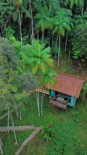 a small house in a forest with palm trees at Recanto dos Sonhos Guest House in Lumiar