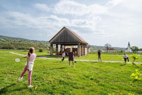 a group of people playing tennis in a field at Skanzen Hotel in Szentendre