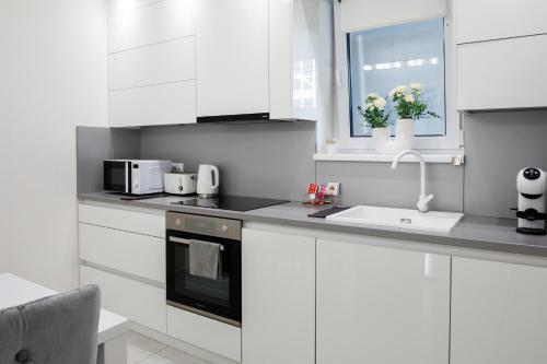 Η κουζίνα ή μικρή κουζίνα στο Rebany Apartman 4 Central Location