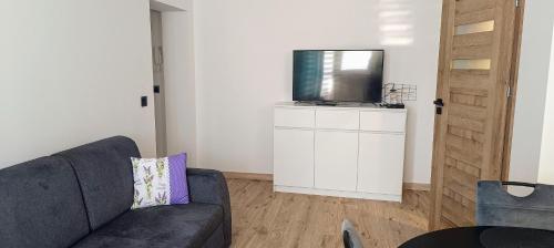 a living room with a couch and a tv at Apartament Polna in Puławy