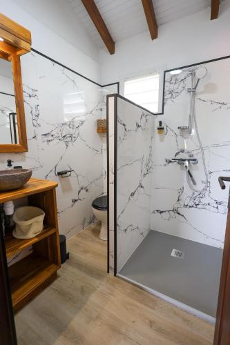 a bathroom with a shower and a toilet at Villa O'Mangos frangipanier in Saint-François