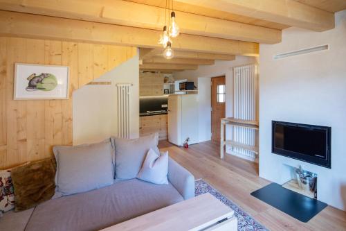 a living room with a couch and a tv at La casa nel Borgo - Cà Rezzuò 61 in Vodo Cadore