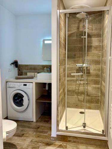 a bathroom with a shower and a washing machine at Séjour de charme au marais bleu in Amboise