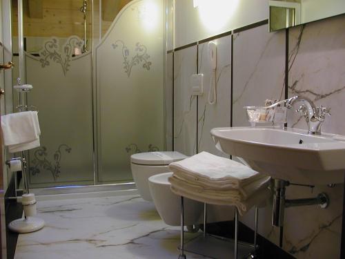 a bathroom with a sink and a toilet and a shower at Villa Madonna in Madonna di Campiglio