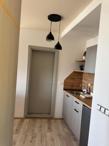 a kitchen with a sliding door and a sink at Velestovo Panorama House in Velestovo
