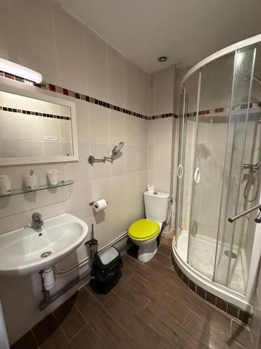 une salle de bain avec un lavabo, une douche et des toilettes dans l'établissement Colocation saisonnière à Azay le Rideau, à Azay-le-Rideau