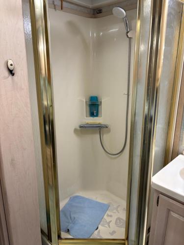 une douche avec une porte vitrée dans une salle de bain dans l'établissement Luxe Amerikaanse Camper, à Lévignacq