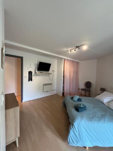a bedroom with a bed and a tv on the wall at Chez Marie et Fabrice in La Marque