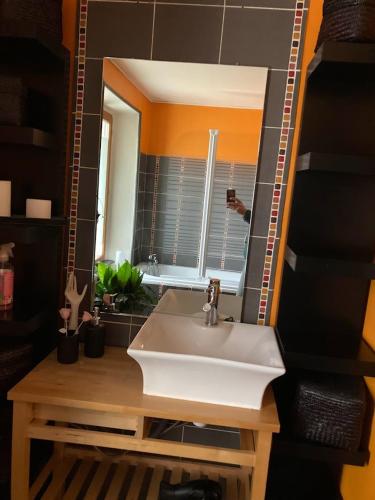 une salle de bain avec un lavabo et un miroir dans l'établissement Un bol d’air à la campagne, à Saint-Diéry