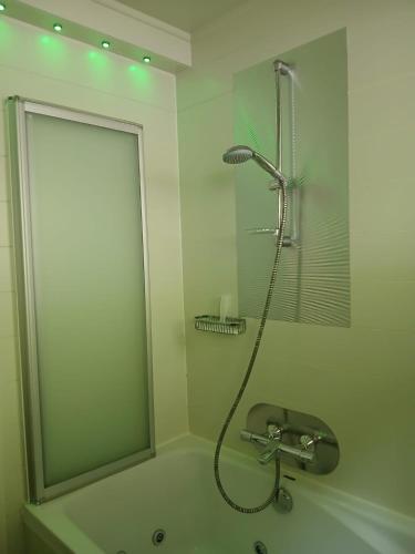 a shower in a bathroom with a bath tub at Le silence de Frahan in Bouillon