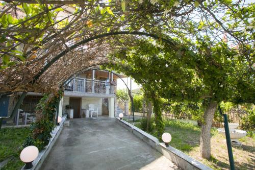 Κήπος έξω από το Aegean Breeze House