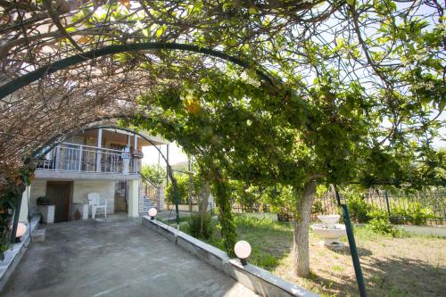 Κήπος έξω από το Aegean Breeze House