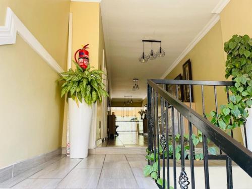 a hallway of a house with a staircase with a plant at Henry George Hotel in Pretoria