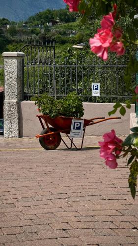 Κήπος έξω από το Casa al Molino