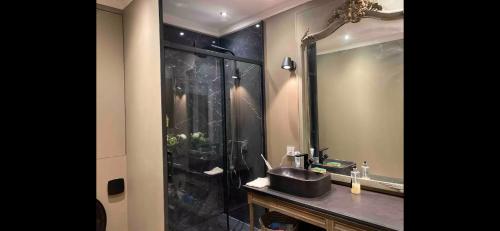 une salle de bain avec une douche, un lavabo et un miroir dans l'établissement Maison de laura, à Bordeaux
