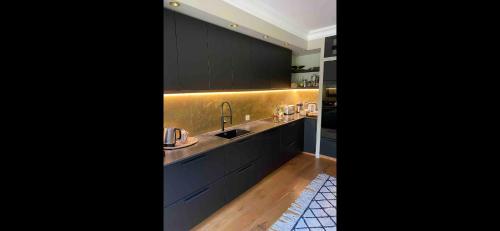 - une cuisine avec des placards noirs, un évier et un comptoir dans l'établissement Maison de laura, à Bordeaux