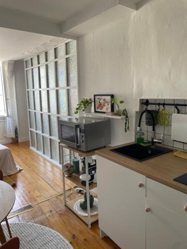 une cuisine avec un comptoir avec un micro-ondes dans l'établissement Appartement centre historique Rennes, à Rennes