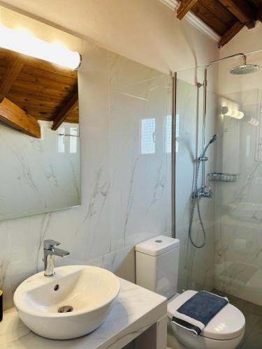 a bathroom with a sink and a toilet and a shower at Paradises's Nest in Agios Georgios