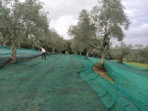 Φωτογραφία από το άλμπουμ του Marrucheto σε Giuncarico