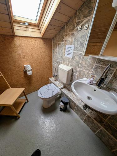 a bathroom with a toilet and a sink at Ferienhaus Marx in Sebnitz