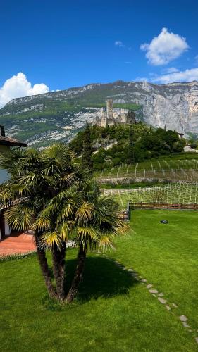 a palm tree in a field with a castle in the background at Casa al Molino - Il Nido in Drena