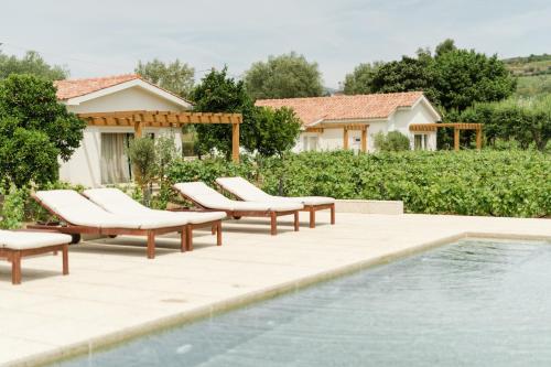 Kolam renang di atau dekat dengan IMAGO Houses - Douro Valley - By MET
