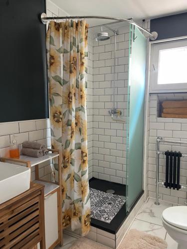 une salle de bain avec une douche avec un rideau de douche dans l'établissement Appartement centre historique Rennes, à Rennes